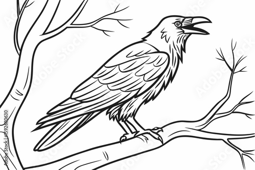 coloring page line art the crow black vector