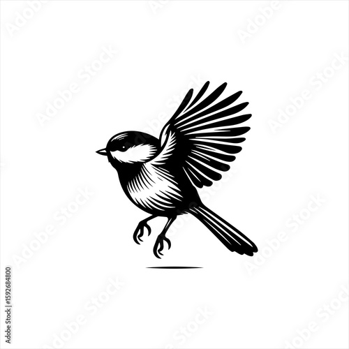 Chickadee flying, isolated on white background
