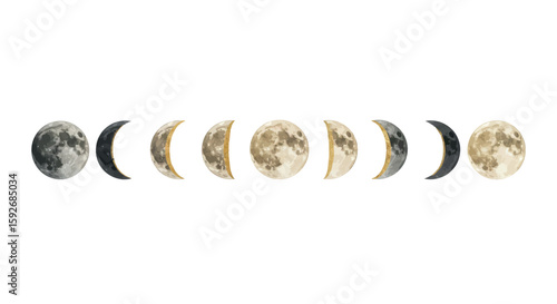 Lunar phases watercolor series with detailed moon cycles on white background