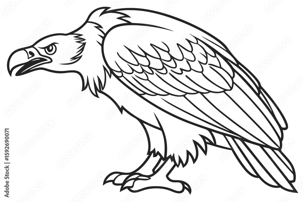 Fototapeta premium coloring page line art the vulture black vector