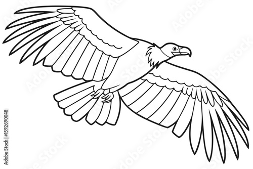 coloring page line art the vulture black vector