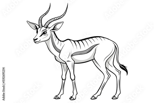 coloring pageline art the springbok black vector