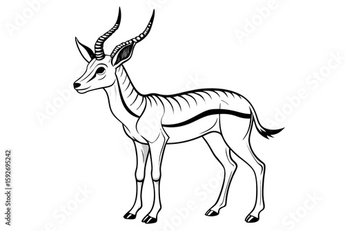 coloring pageline art the springbok black vector