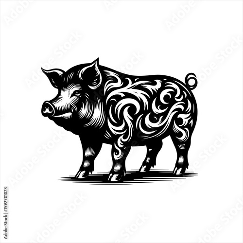 Pig isolated on white background