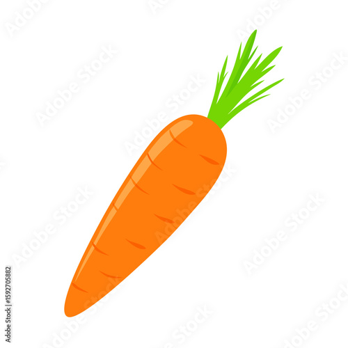 carrots vector illustration