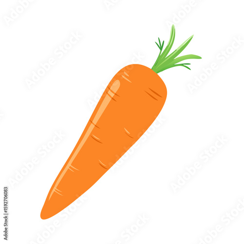 carrots vector illustration