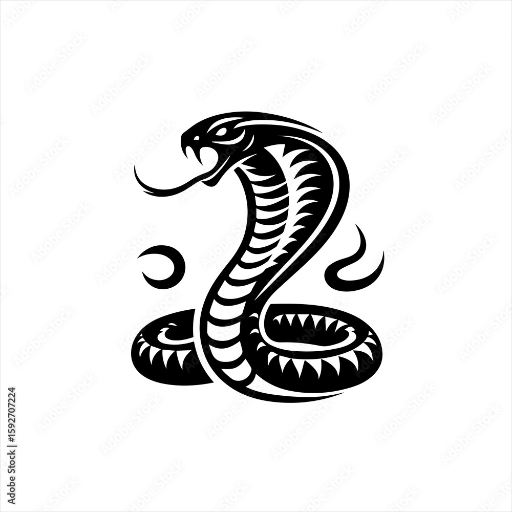 Fototapeta premium Cobra isolated on white background