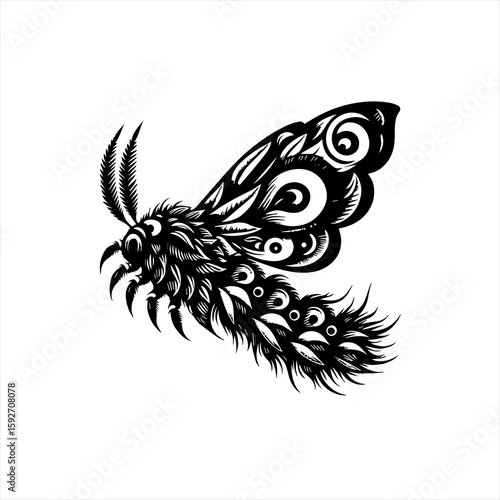 A moth isolated on white background