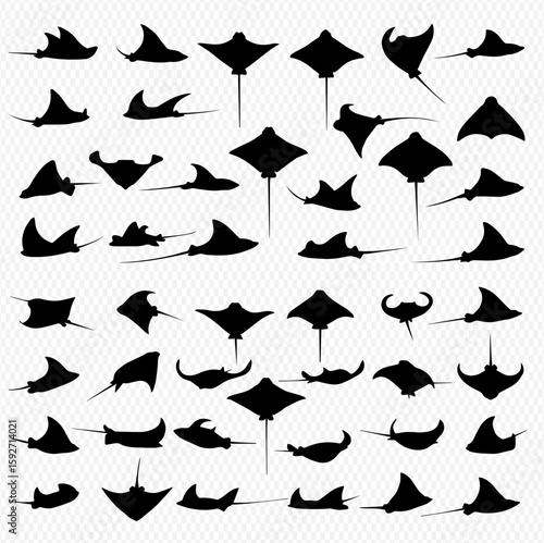 A collection of diverse black silhouette illustrations of stingrays in various swimming positions against a transparent background.