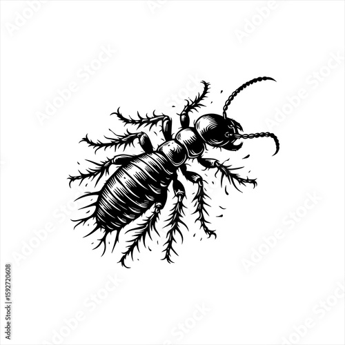 A termite is crawling, isolated on white background