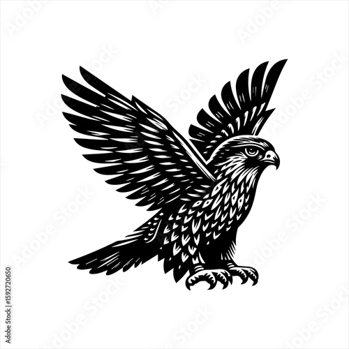 A hawk is soaring with its wings spread, isolated on white background