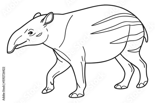 coloring page line art the tapir black vector