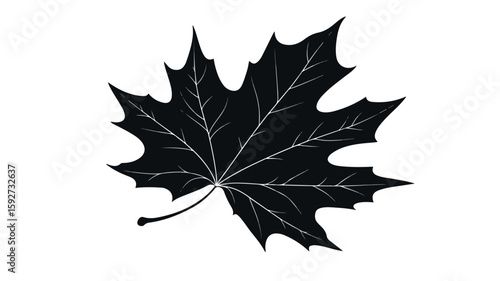 Sycamore Leaf Silhouette Vector for Design Projects