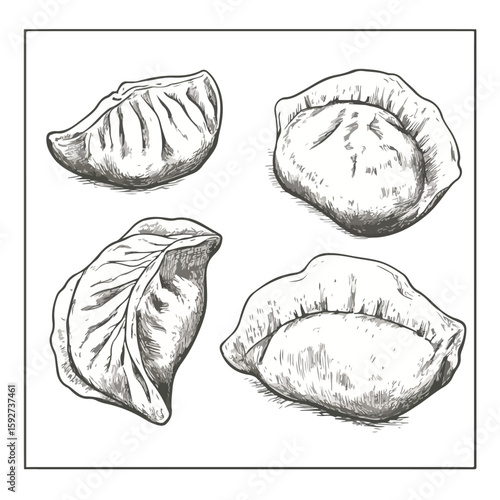 Dumpling Sketch on White Background