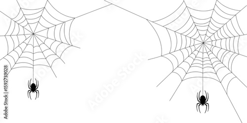 Spooky Web Weaver: A detailed image captures the intricate design of spiderwebs, with spider silhouette, offering a unique and haunting view of these natural marvels.