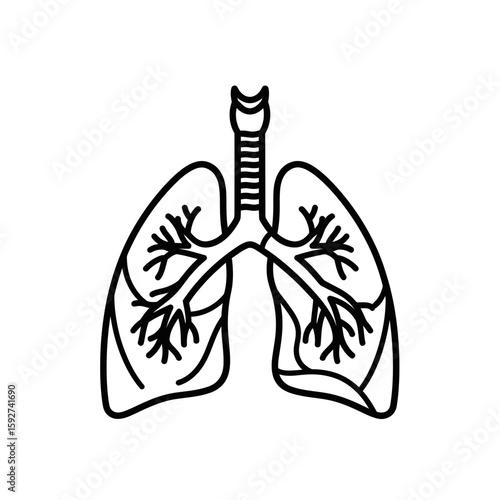 Lungs illustration with branching airways in vector icon style  