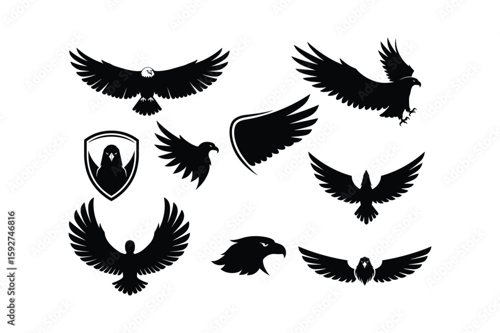 Fototapeta premium Majestic eagle silhouettes spread wings in flight and poised for action falcon hawk
