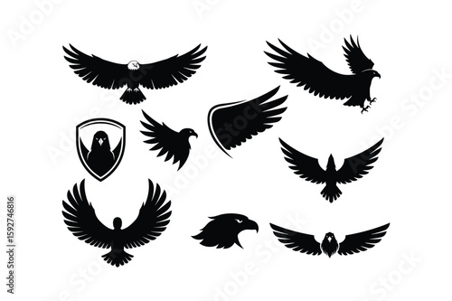 Majestic eagle silhouettes spread wings in flight and poised for action falcon hawk