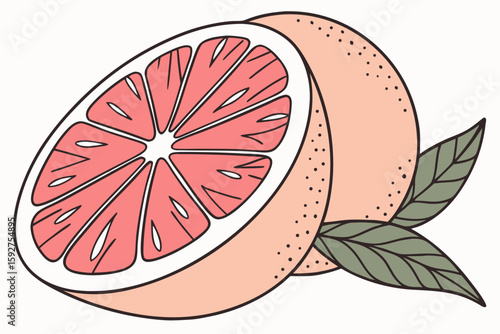 A halved grapefruit with vibrant pink pulp on a clean white background, illustrated in modern flat illustration style