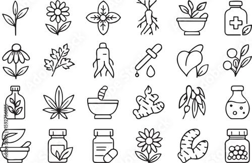 Herbal medicine icons botanical elements and remedies line art natural remedies