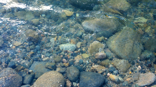 Foto Fondo de piedras del rio con agua cristalina que forma olas