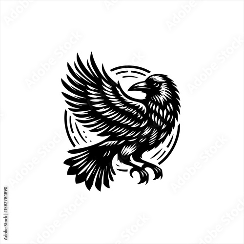 Raven bird illustration