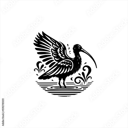 Ibis bird illustration