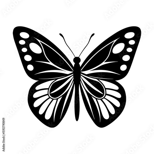 butterfly vector illustration
