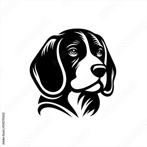 Beagle dog head portrait