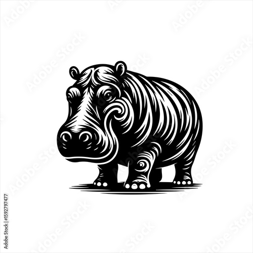 A hippopotamus illustration