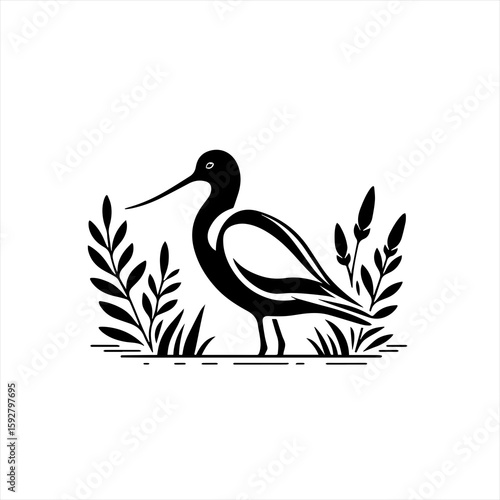 Shorebird illustration