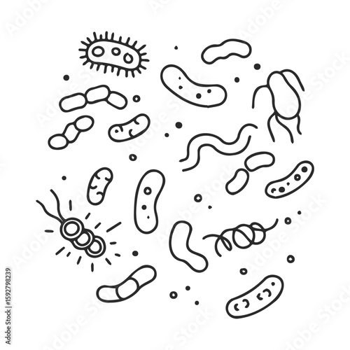 Hand-drawn bacterial cells with diverse shapes and structures on white background