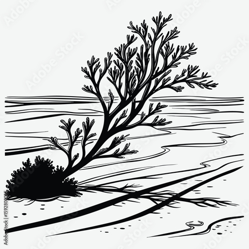 Seaweed on wet sand at low tide image silhouette design vector art and illustration