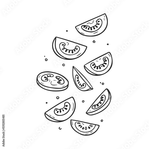Hand-drawn tomato slices falling on white background in monochrome outline
