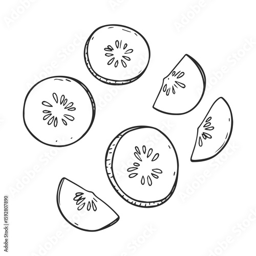 Hand-drawn cucumber slices in black and white sketch style