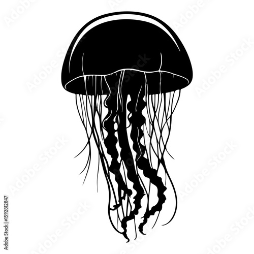 Stylized Jellyfish Marine Animal Vector Illustration