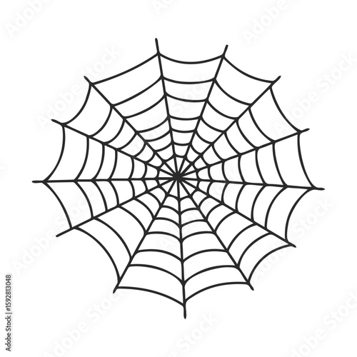 Intricate spider web design on white background