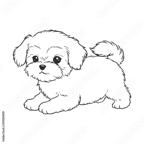 Adorable fluffy puppy sketch in black and white outline style