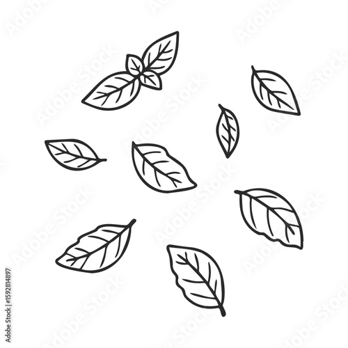 Simple outline of scattered leaves on white background