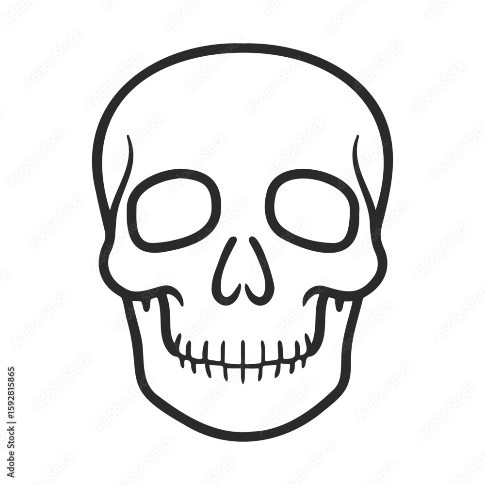 Fototapeta premium Simple outline drawing of a human skull on white background