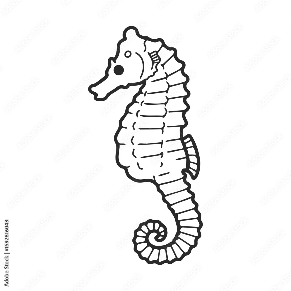 Fototapeta premium Black and white seahorse drawing with detailed line art on white background
