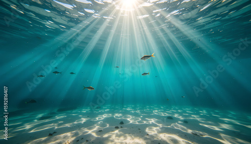 Fototapeta Naklejka Na Ścianę i Meble -  underwater scene with sun rays