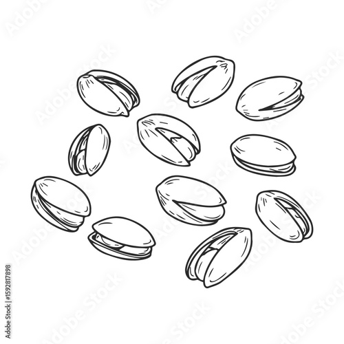 Hand-drawn pistachio illustrations: detailed nut and shell designs