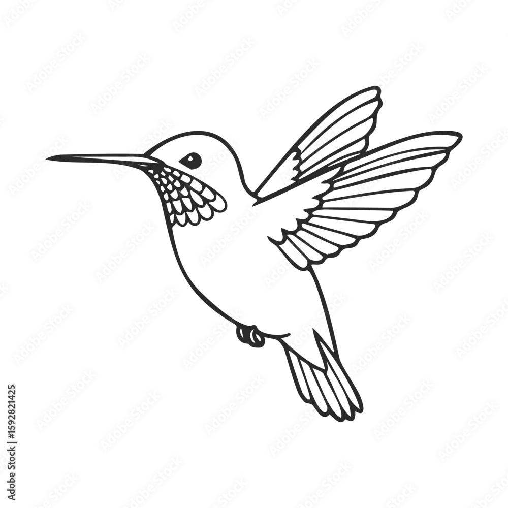 Obraz premium Simplistic line art of a hummingbird in flight