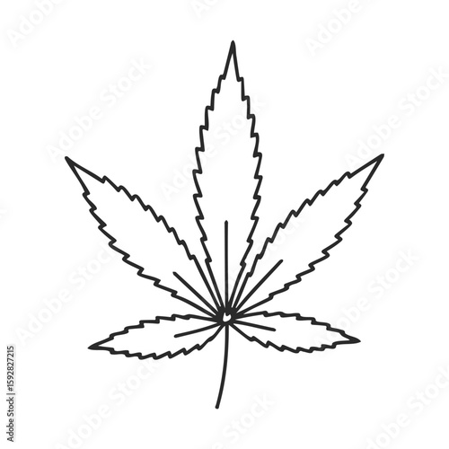 Outline of cannabis leaf drawing on white background