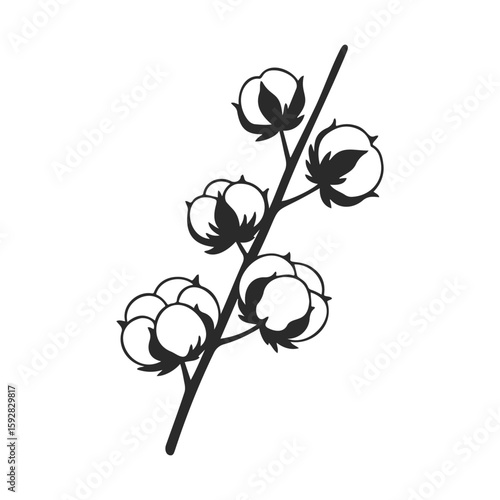 Minimalist black and white cotton plant drawing with detailed branches and bolls