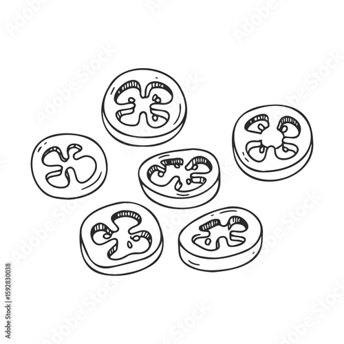Hand-drawn tomato slices illustration in black and white line art style