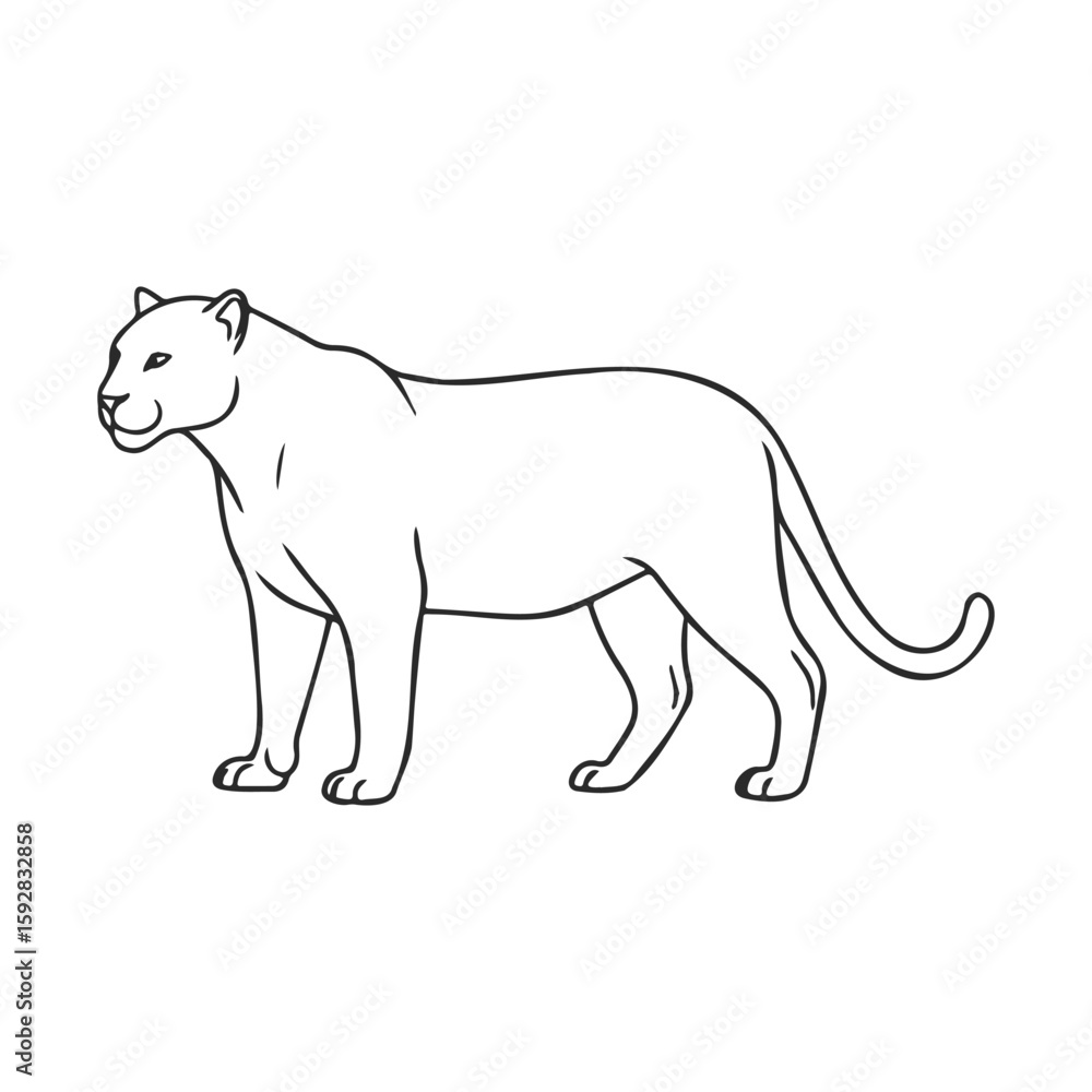 Obraz premium Outline of a standing puma on white background
