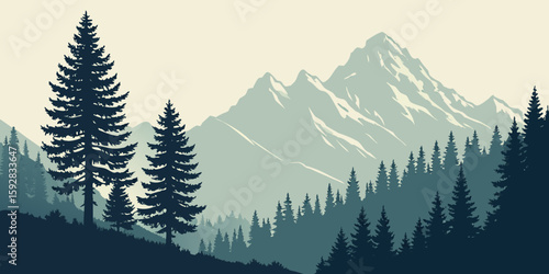 winter forest in the mountains