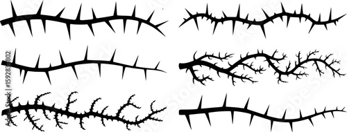 Black thorny branches thorns sharp